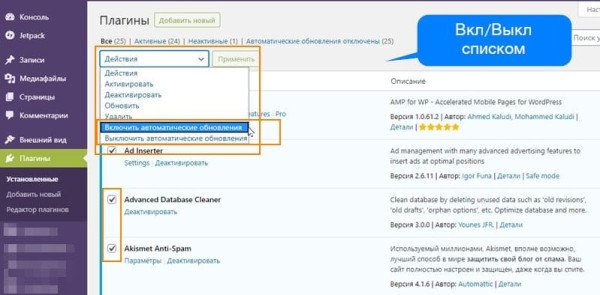 Новая функция WordPress 5.5: автоматическое обновление плагинов и тем Новая функция WordPress 5.5: автоматическое обновление плагинов и тем