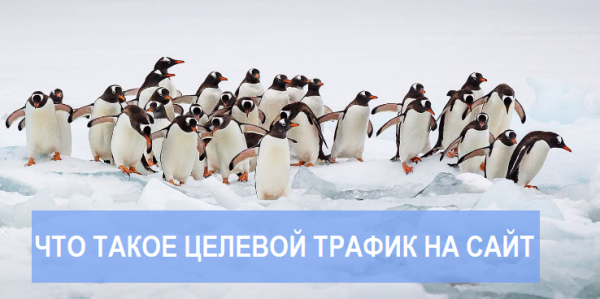  Что такое целевой трафик на сайт. Подробно и доступно для всех кто не в теме! 